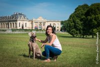 LOUVE 29052017-ATE 2690 : 2017, 29 MAI 2017, CAROLINE CARIOU, CHANTILLY, CHIEN, Ft WEB, LOUVE, SEANCE PARTICULIER