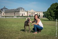 LOUVE 29052017-ATE 2693 : 2017, 29 MAI 2017, CAROLINE CARIOU, CHANTILLY, CHIEN, Ft WEB, LOUVE, SEANCE PARTICULIER