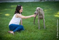 LOUVE 29052017-ATE 2799 : 2017, 29 MAI 2017, CAROLINE CARIOU, CHANTILLY, CHIEN, LOUVE, SEANCE PARTICULIER