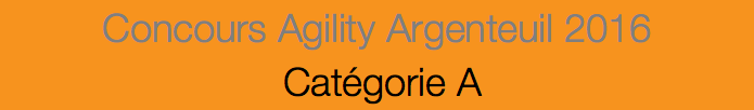 Concours Agility Argenteuil 2016 Catégorie A