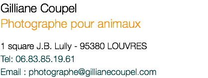 Gilliane Coupel Photographe pour animaux 1 square J.B. Lully - 95380 LOUVRES Tel: 06.83.85.19.61 Email : photographe@gillianecoupel.com