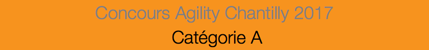 Concours Agility Chantilly 2017 Catégorie A