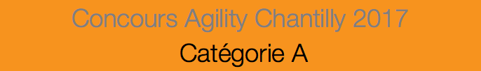 Concours Agility Chantilly 2017 Catégorie A