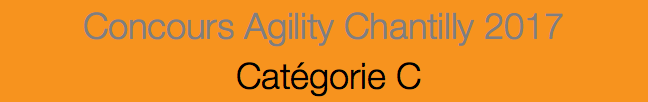 Concours Agility Chantilly 2017 Catégorie C