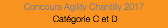 Concours Agility Chantilly 2017 Catégorie C et D