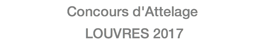 Concours d'Attelage LOUVRES 2017