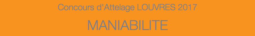 Concours d'Attelage LOUVRES 2017 MANIABILITE