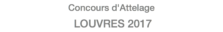 Concours d'Attelage LOUVRES 2017