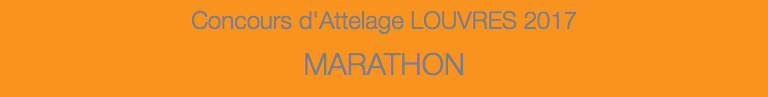 Concours d'Attelage LOUVRES 2017 MARATHON