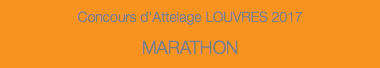 Concours d'Attelage LOUVRES 2017 MARATHON