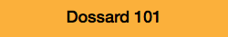 Dossard 101