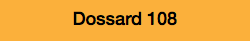 Dossard 108