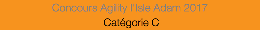 Concours Agility l'Isle Adam 2017 Catégorie C