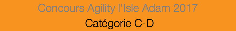 Concours Agility l'Isle Adam 2017 Catégorie C-D