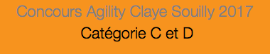 Concours Agility Claye Souilly 2017 Catégorie C et D