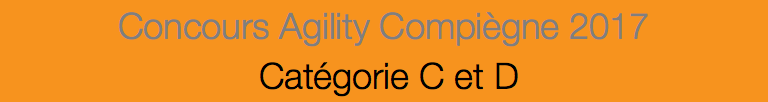 Concours Agility Compiègne 2017 Catégorie C et D