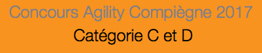 Concours Agility Compiègne 2017 Catégorie C et D