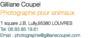 Gilliane Coupel Photographe pour animaux 1 square J.B. Lully,95380 LOUVRES Tel: 06.83.85.19.61 Email : photographe@gillianecoupel.com