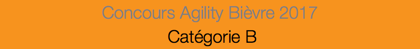 Concours Agility Bièvre 2017 Catégorie B