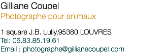 Gilliane Coupel Photographe pour animaux 1 square J.B. Lully,95380 LOUVRES Tel: 06.83.85.19.61 Email : photographe@gillianecoupel.com