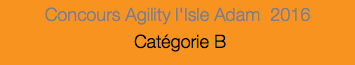 Concours Agility l'Isle Adam 2016 Catégorie B