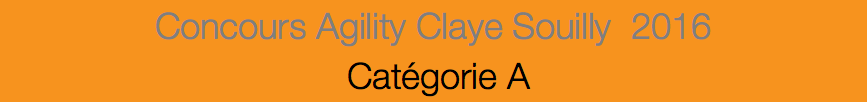 Concours Agility Claye Souilly 2016 Catégorie A