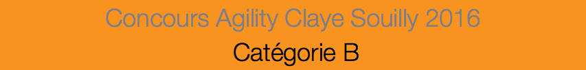 Concours Agility Claye Souilly 2016 Catégorie B