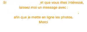 Si vous vous identifiez et que vous êtes intéressé, laissez moi un message avec : le n° de la photo et le nom de votre cheval , afin que je mette en ligne les photos. Merci