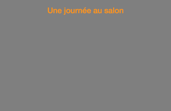 Une journée au salon