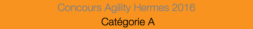 Concours Agility Hermes 2016 Catégorie A