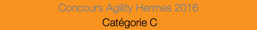 Concours Agility Hermes 2016 Catégorie C