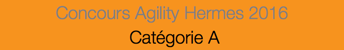 Concours Agility Hermes 2016 Catégorie A