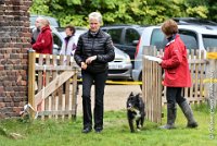 004 EDJAY -OBE 4740 : 2017, CC DE LA VALLEE DE LA BIEVRE, CLASSE 3, CONCOURS OBEISSANCE, Dimanche 10 Septembre 2017, EDJAY DE LA BERGERIE DE MORGANE