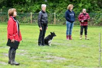 013 EDJAY -OBE 4750 : 2017, CC DE LA VALLEE DE LA BIEVRE, CLASSE 3, CONCOURS OBEISSANCE, Dimanche 10 Septembre 2017, EDJAY DE LA BERGERIE DE MORGANE