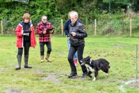 032 EDJAY -OBE 4781 : 2017, CC DE LA VALLEE DE LA BIEVRE, CLASSE 3, CONCOURS OBEISSANCE, Dimanche 10 Septembre 2017, EDJAY DE LA BERGERIE DE MORGANE