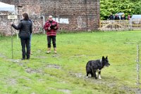 040 EDJAY -OBE 4800 : 2017, CC DE LA VALLEE DE LA BIEVRE, CLASSE 3, CONCOURS OBEISSANCE, Dimanche 10 Septembre 2017, EDJAY DE LA BERGERIE DE MORGANE