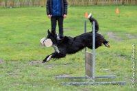 057 EDJAY -OBE 4833 : 2017, CC DE LA VALLEE DE LA BIEVRE, CLASSE 3, CONCOURS OBEISSANCE, Dimanche 10 Septembre 2017, EDJAY DE LA BERGERIE DE MORGANE