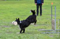 058 EDJAY -OBE 4834 : 2017, CC DE LA VALLEE DE LA BIEVRE, CLASSE 3, CONCOURS OBEISSANCE, Dimanche 10 Septembre 2017, EDJAY DE LA BERGERIE DE MORGANE