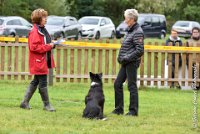 061 EDJAY -OBE 4839 : 2017, CC DE LA VALLEE DE LA BIEVRE, CLASSE 3, CONCOURS OBEISSANCE, Dimanche 10 Septembre 2017, EDJAY DE LA BERGERIE DE MORGANE