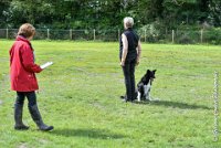 011 HENJOY -OBE 5131 : 2017, CC DE LA VALLEE DE LA BIEVRE, CLASSE 3, CONCOURS OBEISSANCE, Dimanche 10 Septembre 2017, HENJOY DE LA BERGERIE DE MORGANE