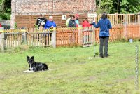 037 HENJOY -OBE 5166 : 2017, CC DE LA VALLEE DE LA BIEVRE, CLASSE 3, CONCOURS OBEISSANCE, Dimanche 10 Septembre 2017, HENJOY DE LA BERGERIE DE MORGANE