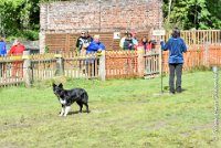 038 HENJOY -OBE 5167 : 2017, CC DE LA VALLEE DE LA BIEVRE, CLASSE 3, CONCOURS OBEISSANCE, Dimanche 10 Septembre 2017, HENJOY DE LA BERGERIE DE MORGANE