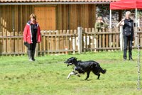 041 HENJOY -OBE 5173 : 2017, CC DE LA VALLEE DE LA BIEVRE, CLASSE 3, CONCOURS OBEISSANCE, Dimanche 10 Septembre 2017, HENJOY DE LA BERGERIE DE MORGANE