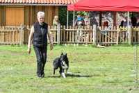 052 HENJOY -OBE 5187 : 2017, CC DE LA VALLEE DE LA BIEVRE, CLASSE 3, CONCOURS OBEISSANCE, Dimanche 10 Septembre 2017, HENJOY DE LA BERGERIE DE MORGANE