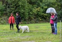 003 FIDJI DREAM-09092017-OBE 3670OBEISSANCE BIEVRES - CLASSE 1 : CC DE LA VALLEE DE LA BIEVRE, CLASSE 2, CONCOURS OBEISSANCE, FIDJI DREAM DU BOIS DES TERNES, Samedi 9 Septembrre 2017