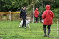 017 FIDJI DREAM-09092017-OBE 3693OBEISSANCE BIEVRES - CLASSE 1 : CC DE LA VALLEE DE LA BIEVRE, CLASSE 2, CONCOURS OBEISSANCE, FIDJI DREAM DU BOIS DES TERNES, Samedi 9 Septembrre 2017