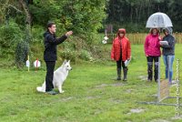 023 FIDJI DREAM-09092017-OBE 3711OBEISSANCE BIEVRES - CLASSE 1 : CC DE LA VALLEE DE LA BIEVRE, CLASSE 2, CONCOURS OBEISSANCE, FIDJI DREAM DU BOIS DES TERNES, Samedi 9 Septembrre 2017