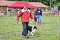 016 FIDJY I -OBE 5064 : 2017, CC DE LA VALLEE DE LA BIEVRE, CLASSE 3, CONCOURS OBEISSANCE, Dimanche 10 Septembre 2017, FIDJY I