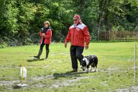 028 FIDJY I -OBE 5091 : 2017, CC DE LA VALLEE DE LA BIEVRE, CLASSE 3, CONCOURS OBEISSANCE, Dimanche 10 Septembre 2017, FIDJY I