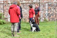 006 FLINZER -09092017-OBE 3271OBEISSANCE BIEVRES - CLASSE 1 : 2017, CC DE LA VALLEE DE LA BIEVRE, CLASSE 1, CONCOURS OBEISSANCE, FLINZER, Samedi 9 Septembrre 2017